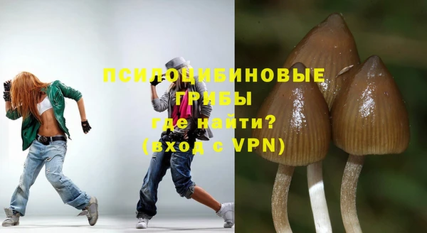 МДМА Бородино