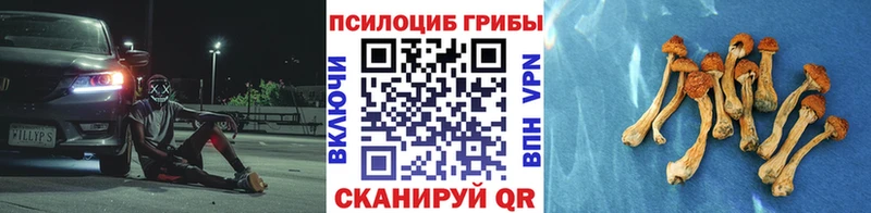 Псилоцибиновые грибы Psilocybe  hydra ссылка  Медногорск 